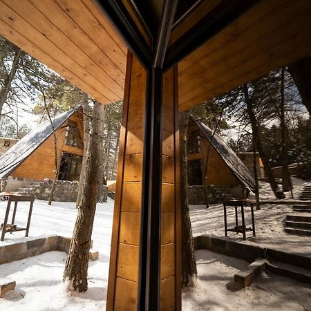 Woodland Cottages ツァグカゾール エクステリア 写真