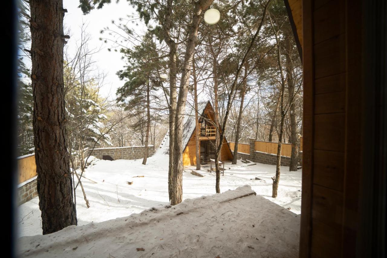 Woodland Cottages ツァグカゾール エクステリア 写真
